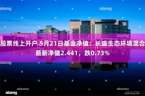 股票线上开户 5月21日基金净值：长盛生态环境混合最新净值2.441，跌0.73%