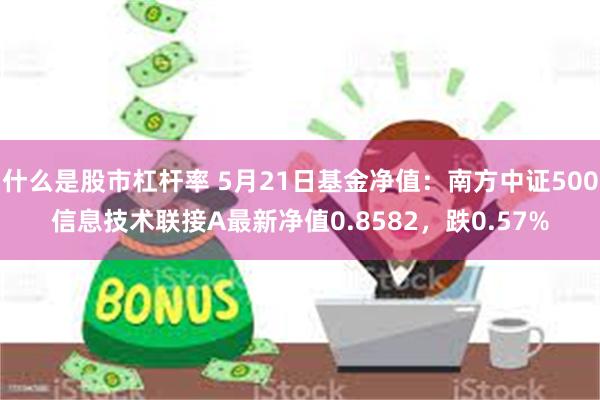 什么是股市杠杆率 5月21日基金净值：南方中证500信息技术联接A最新净值0.8582，跌0.57%