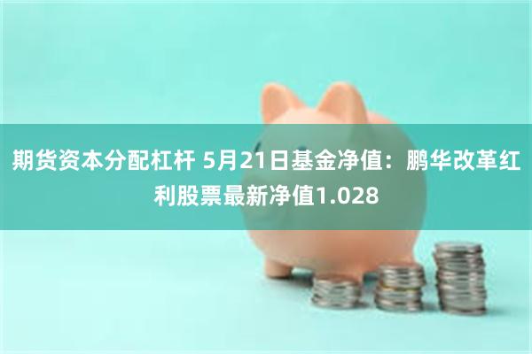 期货资本分配杠杆 5月21日基金净值：鹏华改革红利股票最新净值1.028