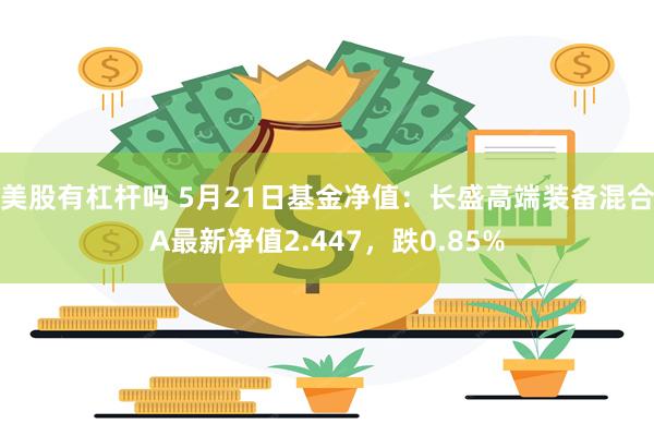 美股有杠杆吗 5月21日基金净值：长盛高端装备混合A最新净值2.447，跌0.85%