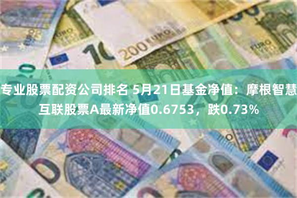 专业股票配资公司排名 5月21日基金净值：摩根智慧互联股票A最新净值0.6753，跌0.73%