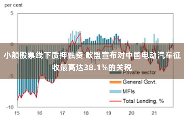 小额股票线下质押融资 欧盟宣布对中国电动汽车征收最高达38.1%的关税