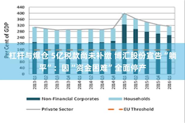 杠杆与爆仓 5亿税款尚未补缴 博汇股份宣告“躺平”：因“资金困难”全面停产