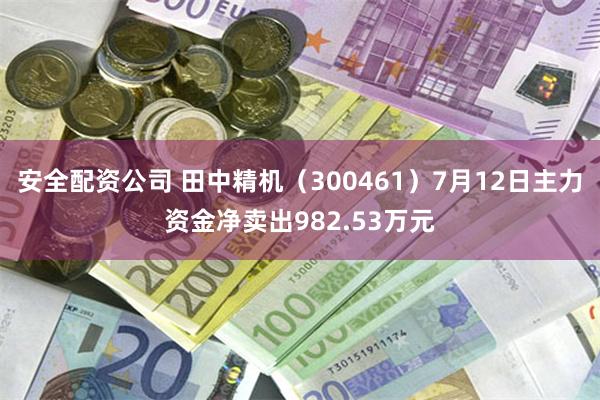 安全配资公司 田中精机（300461）7月12日主力资金净卖出982.53万元