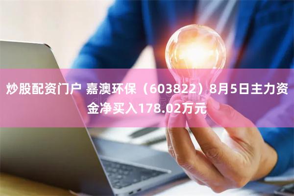 炒股配资门户 嘉澳环保（603822）8月5日主力资金净买入178.02万元