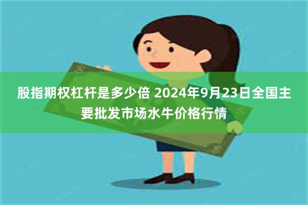 股指期权杠杆是多少倍 2024年9月23日全国主要批发市场水牛价格行情