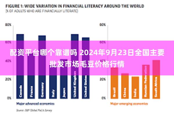 配资平台哪个靠谱吗 2024年9月23日全国主要批发市场毛豆价格行情