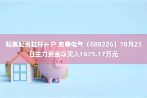 股票配资杠杆开户 威腾电气（688226）10月25日主力资金净买入1025.17万元