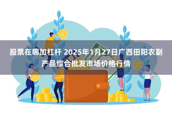 股票在哪加杠杆 2025年1月27日广西田阳农副产品综合批发市场价格行情