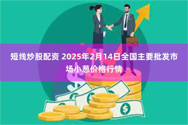 短线炒股配资 2025年2月14日全国主要批发市场小葱价格行情