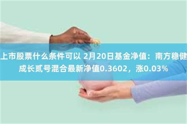 上市股票什么条件可以 2月20日基金净值：南方稳健成长贰号混合最新净值0.3602，涨0.03%