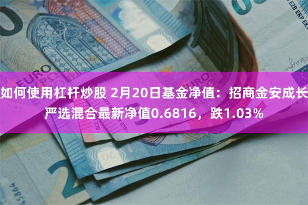 如何使用杠杆炒股 2月20日基金净值：招商金安成长严选混合最新净值0.6816，跌1.03%